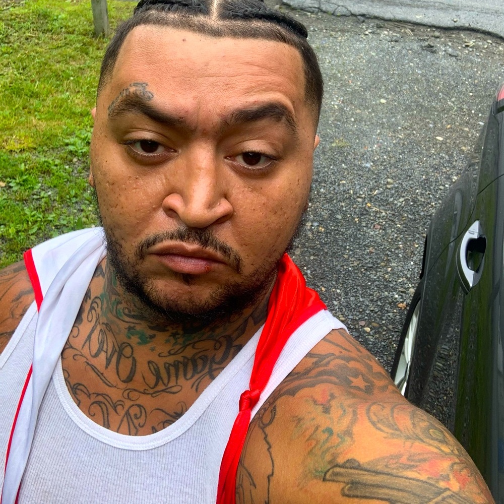 Meet your Posher, Pauly